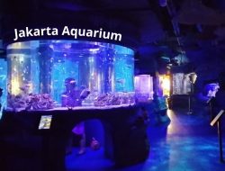 Jakarta Aquarium: Destinasi Wisata Edukasi