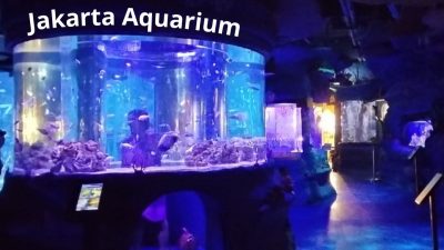 Jakarta Aquarium: Destinasi Wisata Edukasi