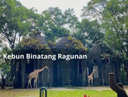 Kebun Binatang Ragunan: Liburan Hemat di Jakarta