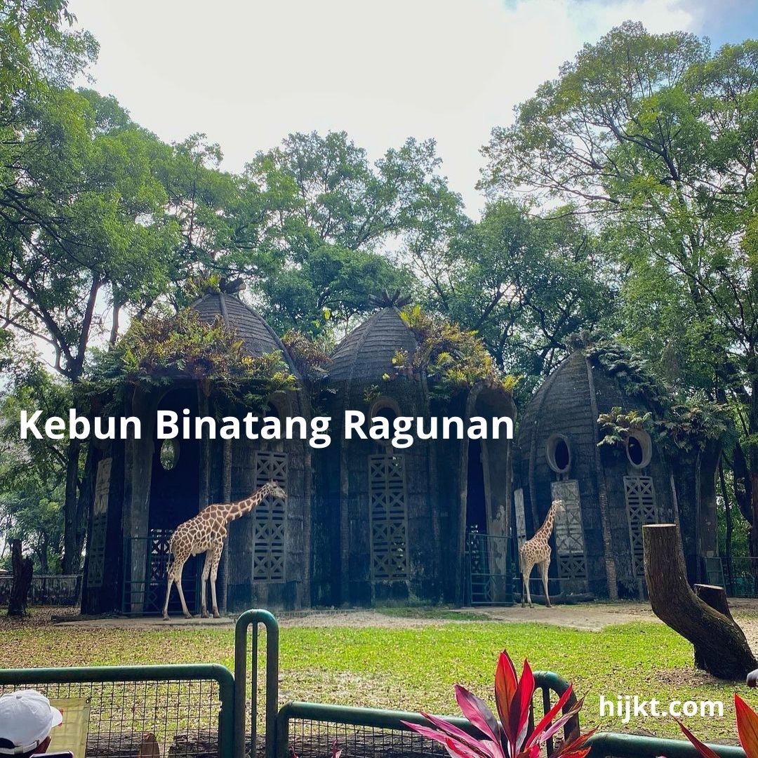 Kebun Binatang Ragunan